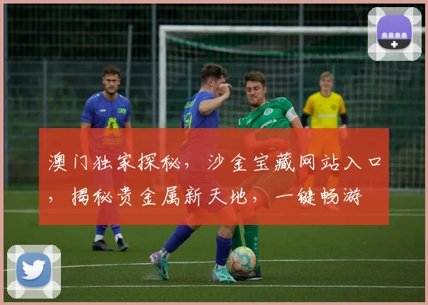 澳门独家探秘，沙金宝藏网站入口，揭秘贵金属新天地，一键畅游