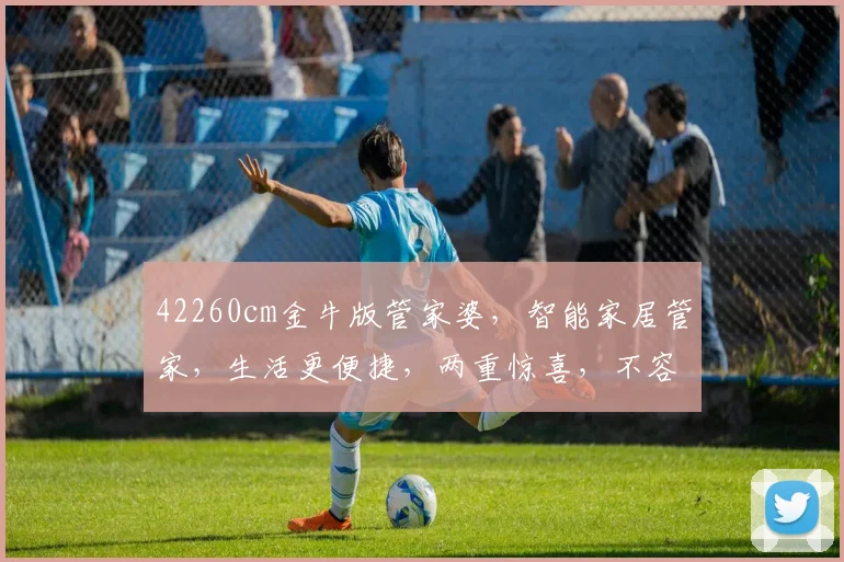 42260cm金牛版管家婆，智能家居管家，生活更便捷，两重惊喜，不容错过